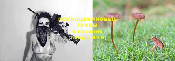 ГАЛЛЮЦИНОГЕННЫЕ ГРИБЫ Наволоки
