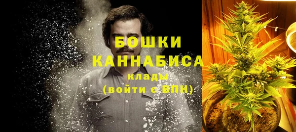 ГАЛЛЮЦИНОГЕННЫЕ ГРИБЫ Наволоки