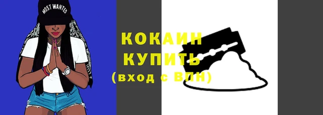 ГАЛЛЮЦИНОГЕННЫЕ ГРИБЫ Наволоки