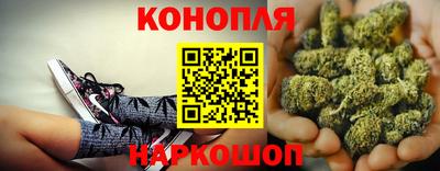 стафф Краснодар