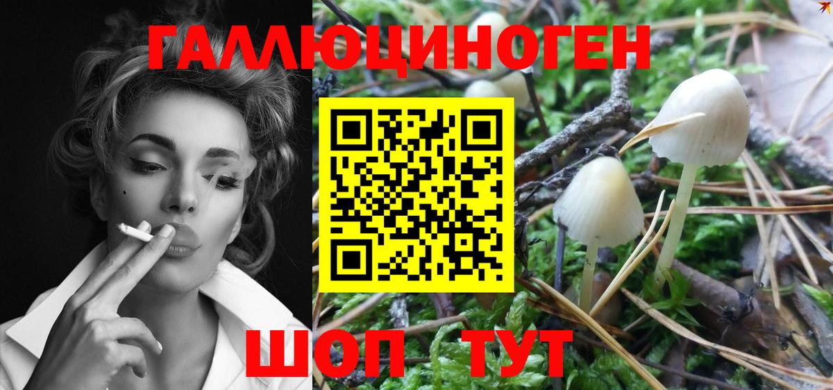 Псилоцибиновые грибы прущие грибы  Псилоцибиновые грибы Psilocybe  Вход с VPN  Краснодар 