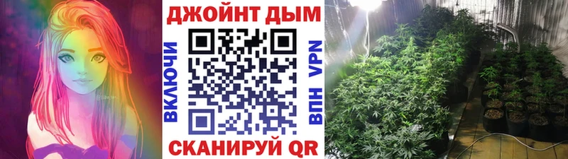 Канабис гибрид  наркошоп  Краснодар 